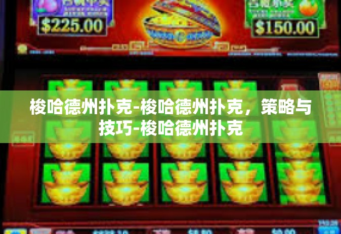 梭哈德州扑克-梭哈德州扑克，策略与技巧-梭哈德州扑克