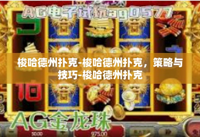 梭哈德州扑克-梭哈德州扑克，策略与技巧-梭哈德州扑克