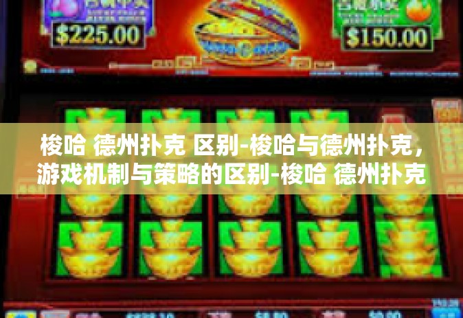 梭哈 德州扑克 区别-梭哈与德州扑克，游戏机制与策略的区别-梭哈 德州扑克 区别