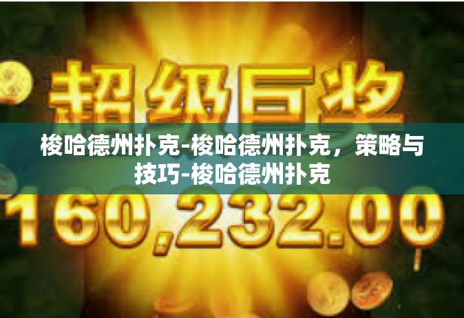 梭哈德州扑克-梭哈德州扑克，策略与技巧-梭哈德州扑克