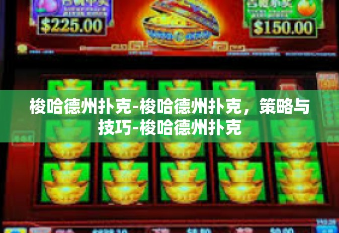 梭哈德州扑克-梭哈德州扑克，策略与技巧-梭哈德州扑克