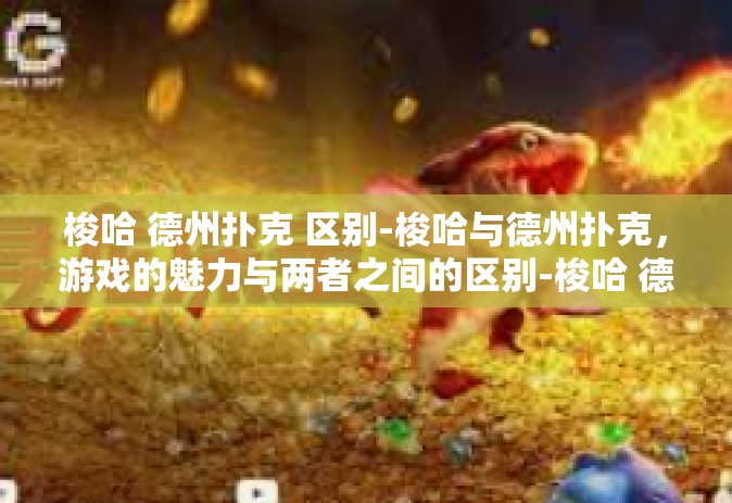 梭哈 德州扑克 区别-梭哈与德州扑克，游戏的魅力与两者之间的区别-梭哈 德州扑克 区别