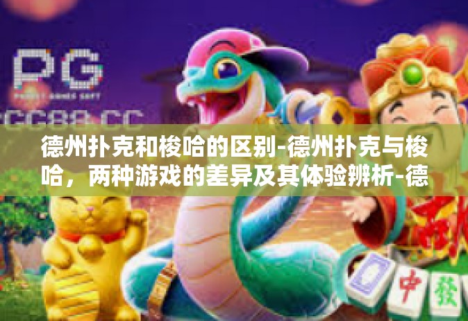 德州扑克和梭哈的区别-德州扑克与梭哈，两种游戏的差异及其体验辨析-德州扑克和梭哈的区别