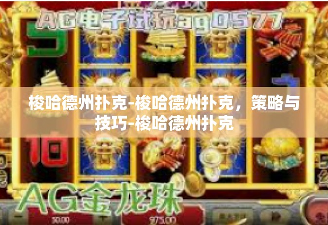 梭哈德州扑克-梭哈德州扑克，策略与技巧-梭哈德州扑克