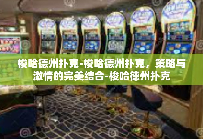 梭哈德州扑克-梭哈德州扑克，策略与激情的完美结合-梭哈德州扑克