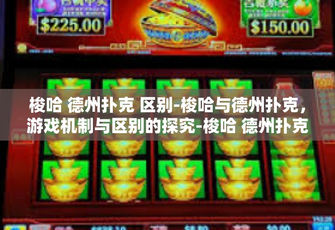 梭哈 德州扑克 区别-梭哈与德州扑克，游戏机制与区别的探究-梭哈 德州扑克 区别