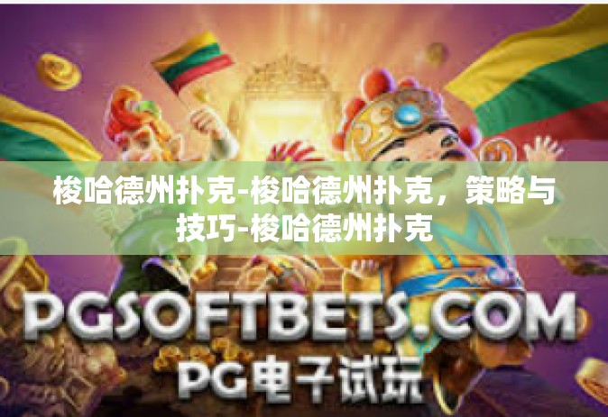 梭哈德州扑克-梭哈德州扑克，策略与技巧-梭哈德州扑克