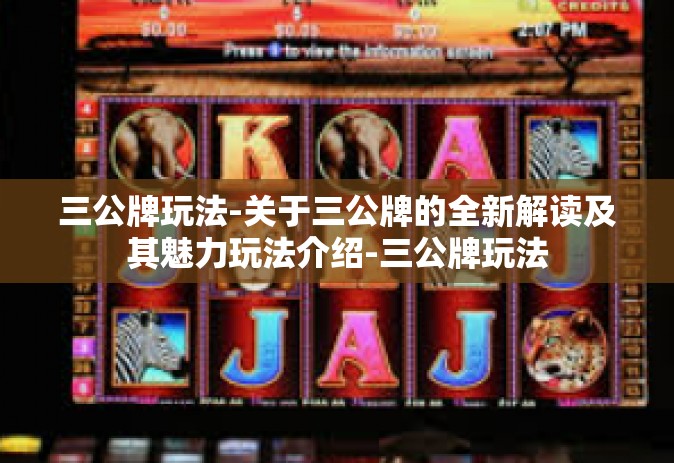 三公牌玩法-关于三公牌的全新解读及其魅力玩法介绍-三公牌玩法
