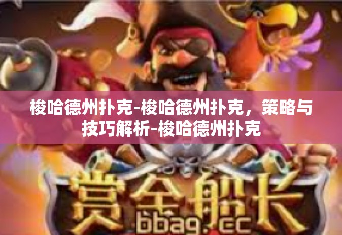 梭哈德州扑克-梭哈德州扑克，策略与技巧解析-梭哈德州扑克