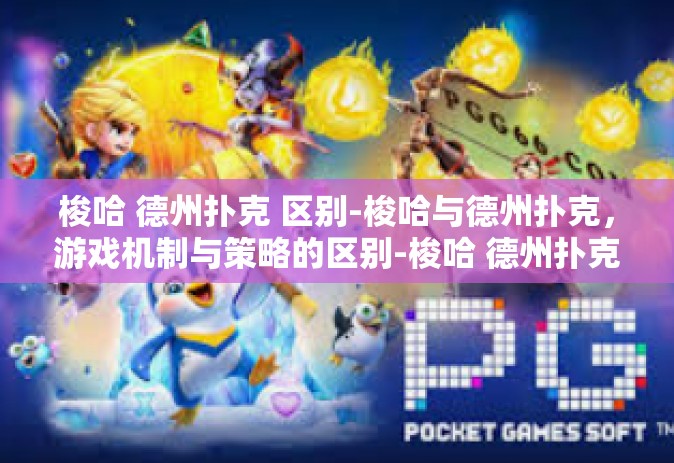 梭哈 德州扑克 区别-梭哈与德州扑克，游戏机制与策略的区别-梭哈 德州扑克 区别