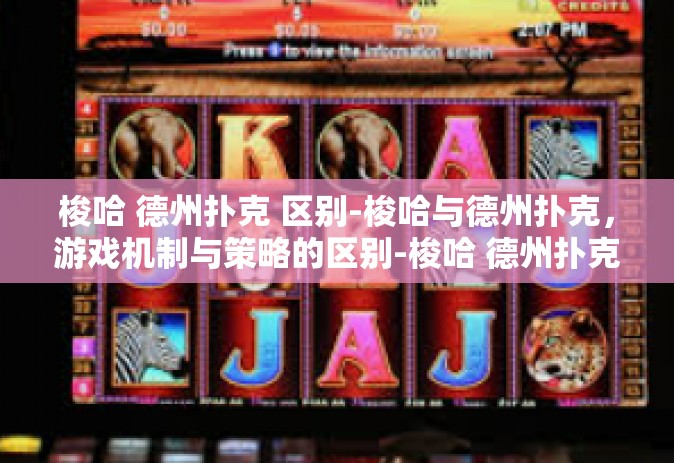 梭哈 德州扑克 区别-梭哈与德州扑克，游戏机制与策略的区别-梭哈 德州扑克 区别