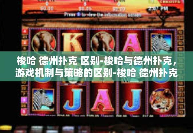 梭哈 德州扑克 区别-梭哈与德州扑克，游戏机制与策略的区别-梭哈 德州扑克 区别