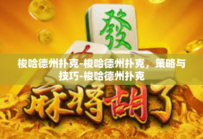 梭哈德州扑克-梭哈德州扑克，策略与技巧-梭哈德州扑克