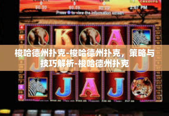 梭哈德州扑克-梭哈德州扑克，策略与技巧解析-梭哈德州扑克