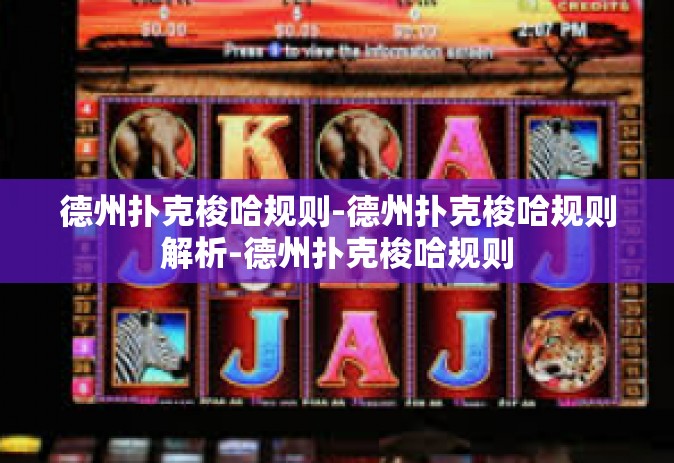 德州扑克梭哈规则-德州扑克梭哈规则解析-德州扑克梭哈规则