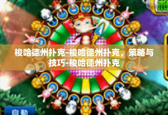 梭哈德州扑克-梭哈德州扑克，策略与技巧-梭哈德州扑克
