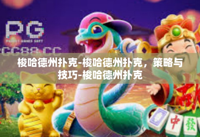 梭哈德州扑克-梭哈德州扑克，策略与技巧-梭哈德州扑克